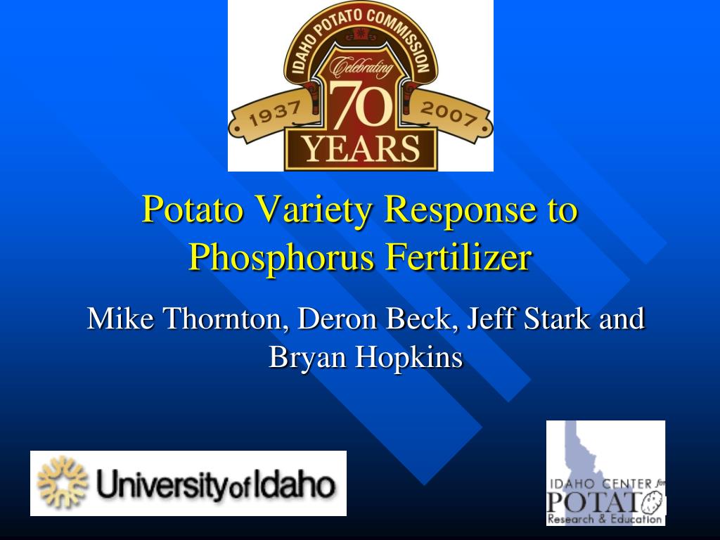 PPT - Potato Variety Response to Phosphorus Fertilizer PowerPoint ...