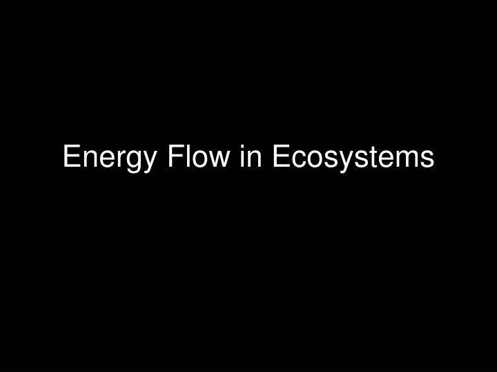 energy flow in ecosystems n.