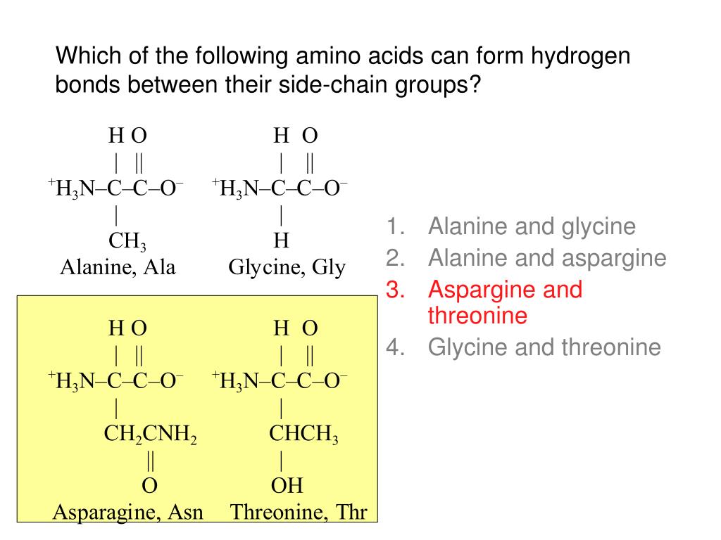 PPT AMINO ACIDS PowerPoint Presentation, free download ID3020936