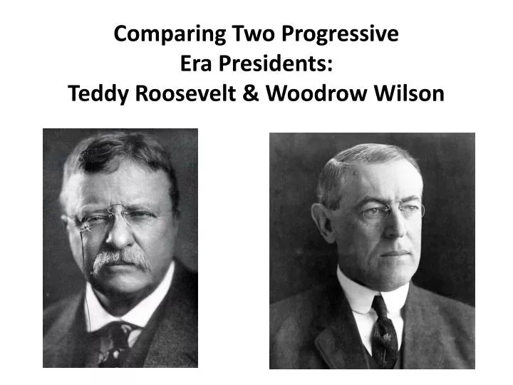 Essay On A Rainy Day A Look At The Political Career And Presidency Of Theodore Roosevelt What Is Literature Essay also Capital Punishment Argument Essay A Look At The Political Career And Presidency Of Theodore Roosevelt Glory Road Essay