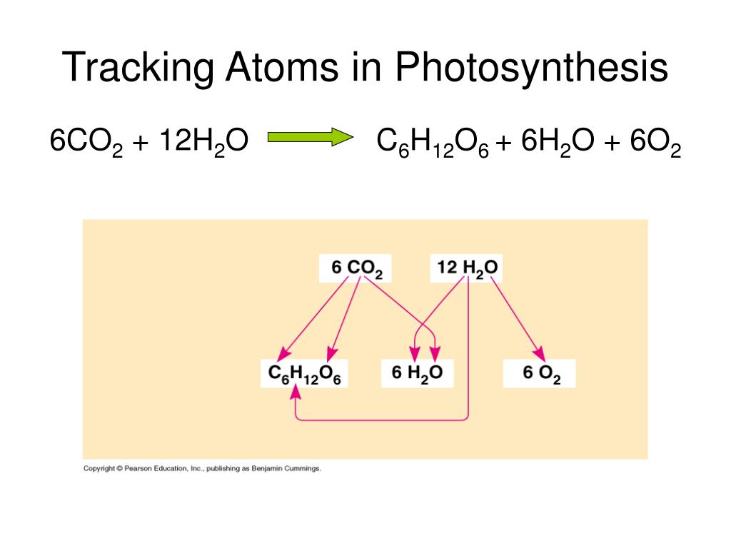 Co2 h2o. +6h2o=c6h12o6+6o2. Ch6h12 + o2. 6co2+6h2o=...+6o2 - процесс. Co2 h2o c6h12o6 o2 процесс.