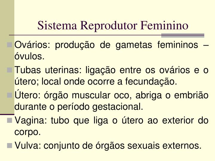 PPT - Sistema Reprodutor Humano Masculino E Feminino 8º Ano A E B ...