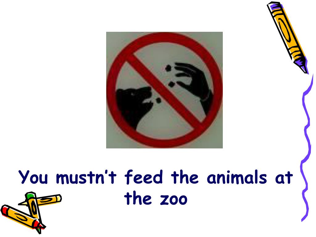 You couldn t mustn t. Must mustn't правило. You mustn't Feed the animals. Must mustn't signs. Must mustn't презентация.