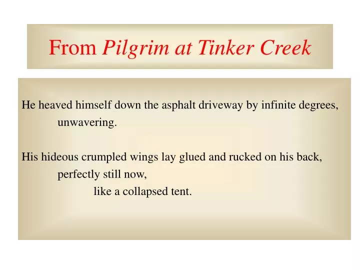 pilgrim at tinker creek review