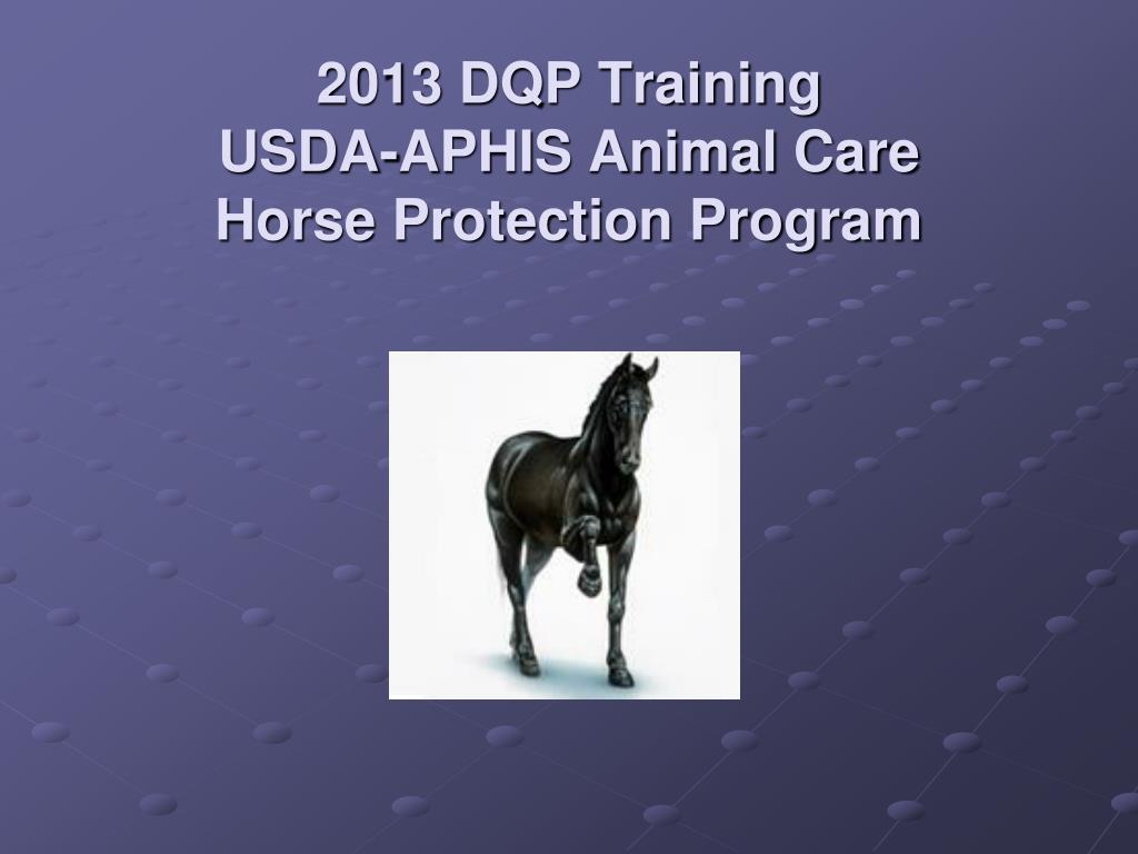 PPT - 2013 DQP Training USDA-APHIS Animal Care Horse Protection Program  PowerPoint Presentation - ID:3026791