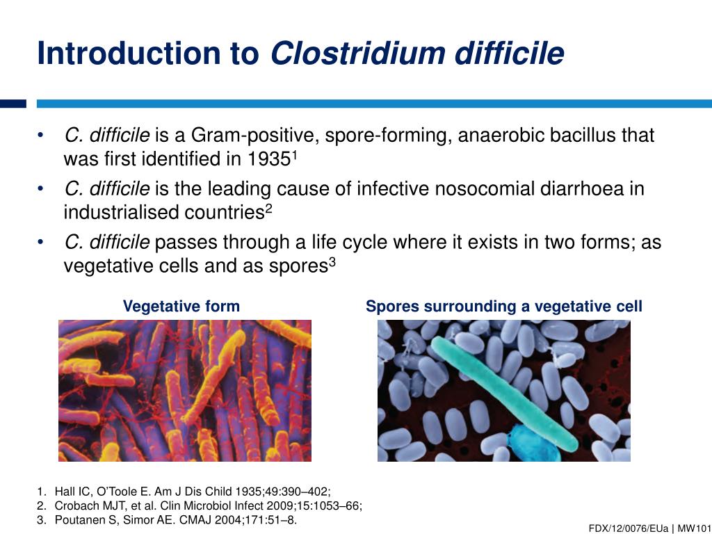 Кластридии. Clostridium difficile антибиотики. Эпидемиология клостридии диффициле. Клостридии дисбактериоз.