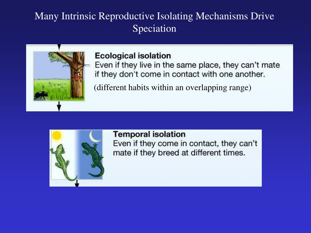 PPT - Nothing in biology makes sense except in the light of evolution. – Theodosius Dobzhansky PowerPoint Presentation - ID:3027427