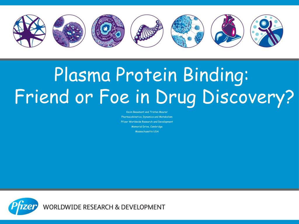 PPT Kevin Beaumont and Tristan Maurer Pharmacokinetics Dynamics