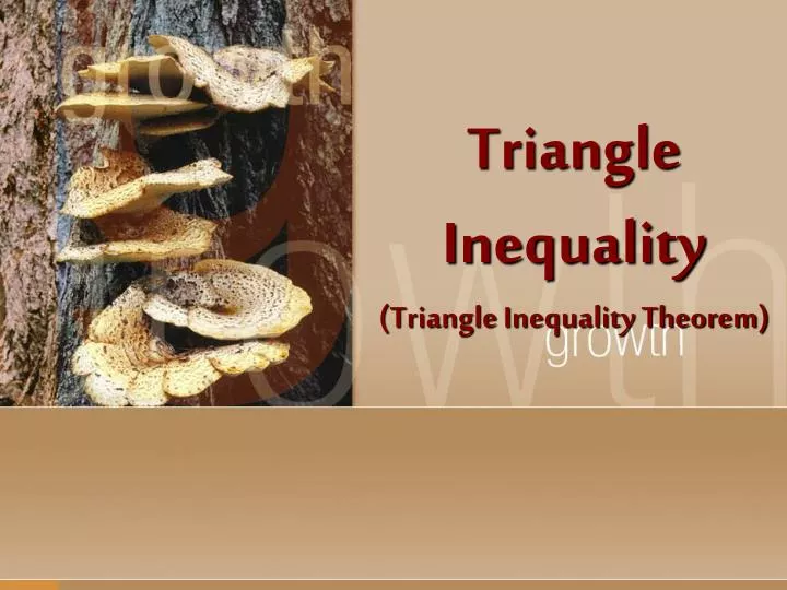 triangle inequality triangle inequality theorem n.