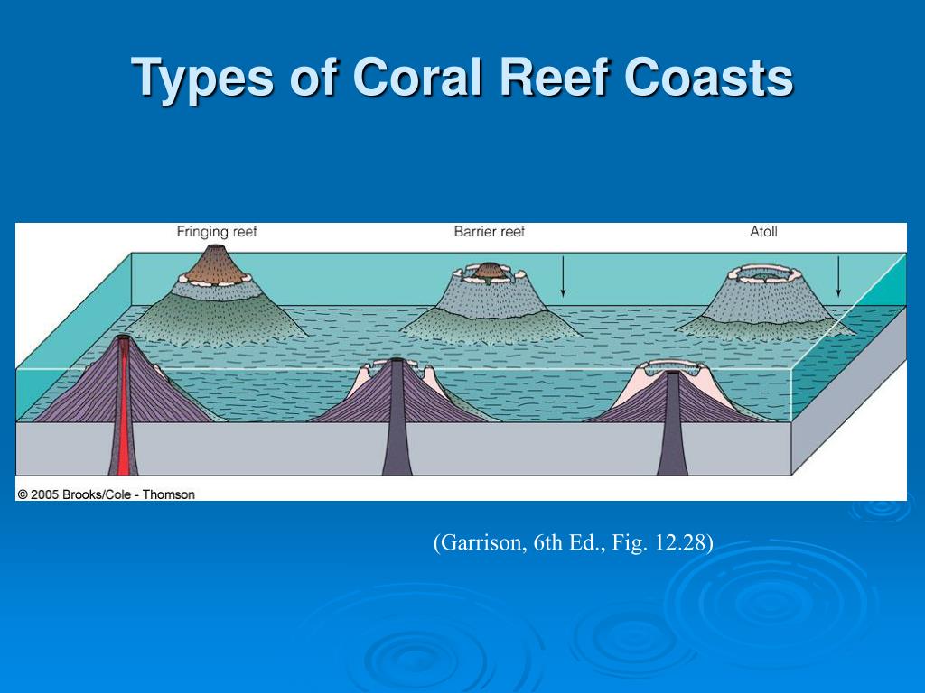 PPT - Coasts: Beaches and Shoreline Processes PowerPoint Presentation ...