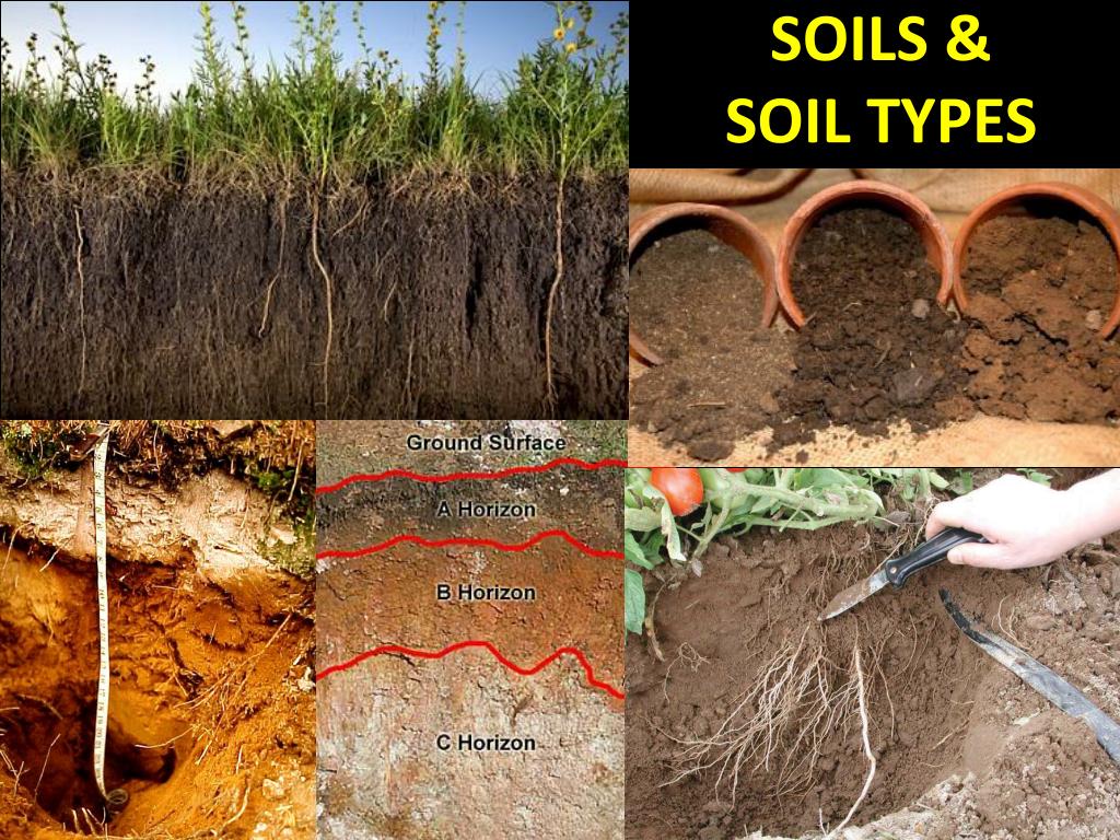 presentation of types of soils