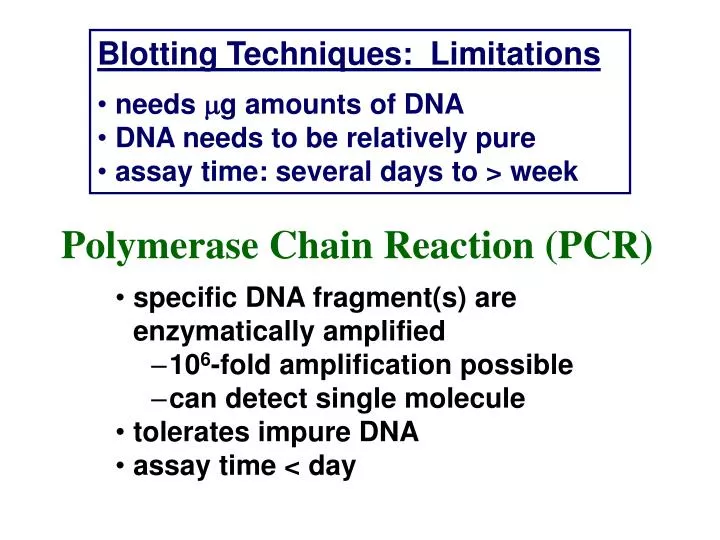 PPT - Blotting Techniques: Limitations needs g amounts of DNA DNA needs ...