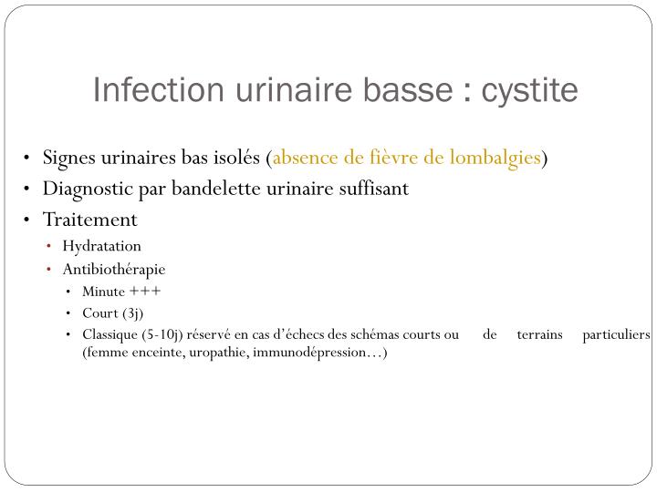 PPT - Les infections urinaires PowerPoint Presentation PPT - Les infections urinaires PowerPoint Presentation