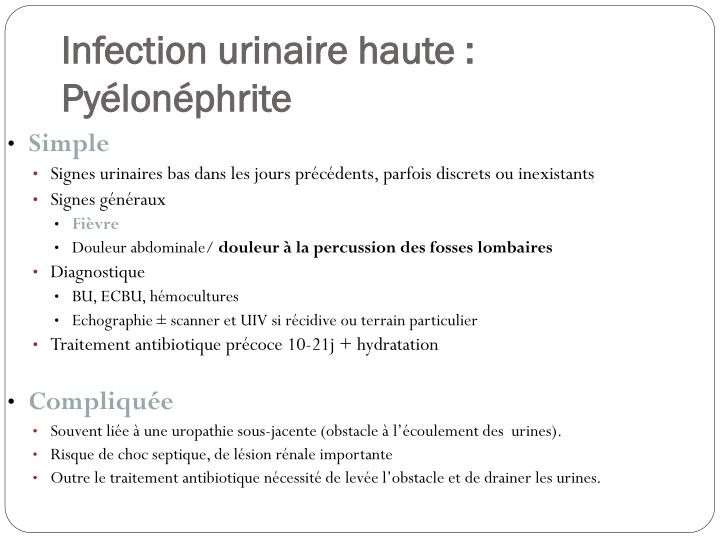 PPT - Les infections urinaires PowerPoint Presentation PPT - Les infections urinaires PowerPoint Presentation