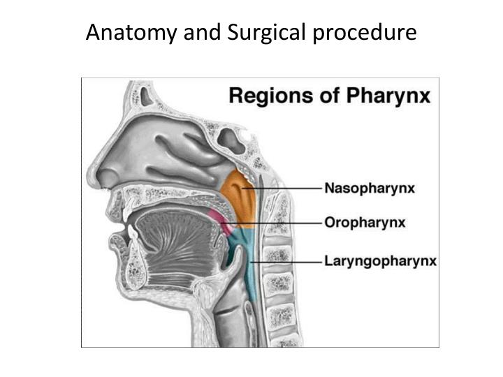 Ppt Tonsillectomy Powerpoint Presentation Id3033260