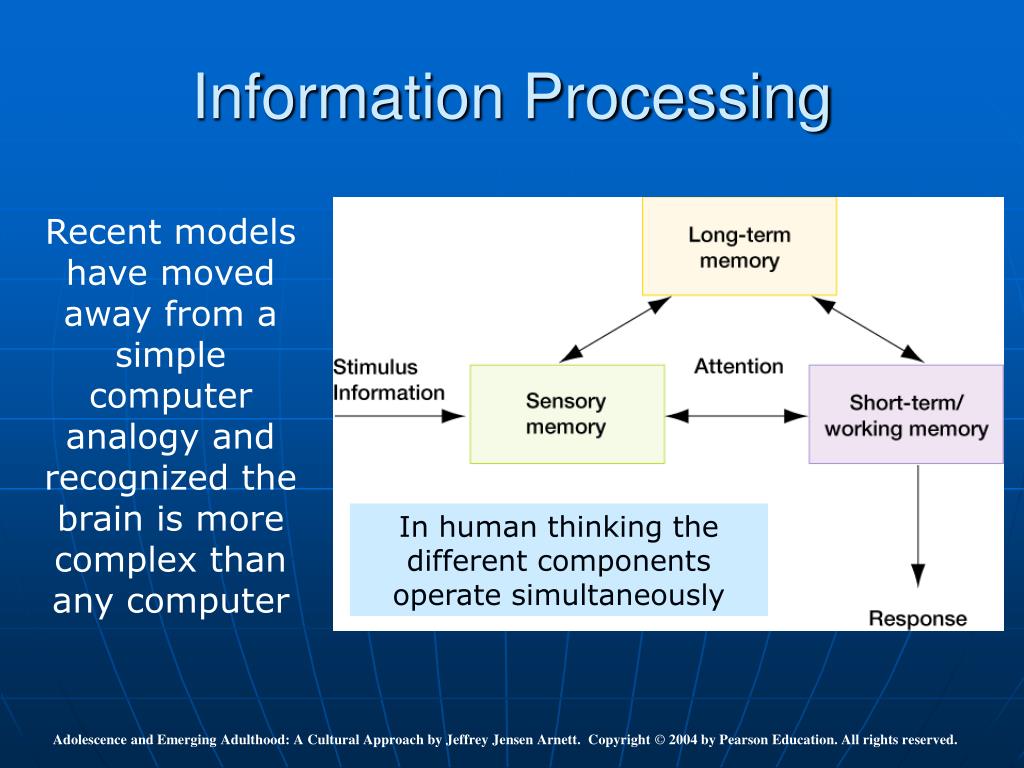 Computer process information. Information processing. Information and information processes. What is the long term Memory. Long term Memory working Memory.