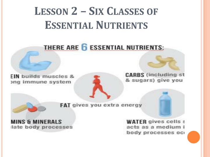 ppt healthy eating nutrition powerpoint presentation id 3033308 what are the 6 essential nutrients