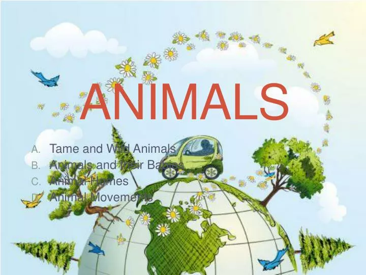 animal presentations for schools ppt