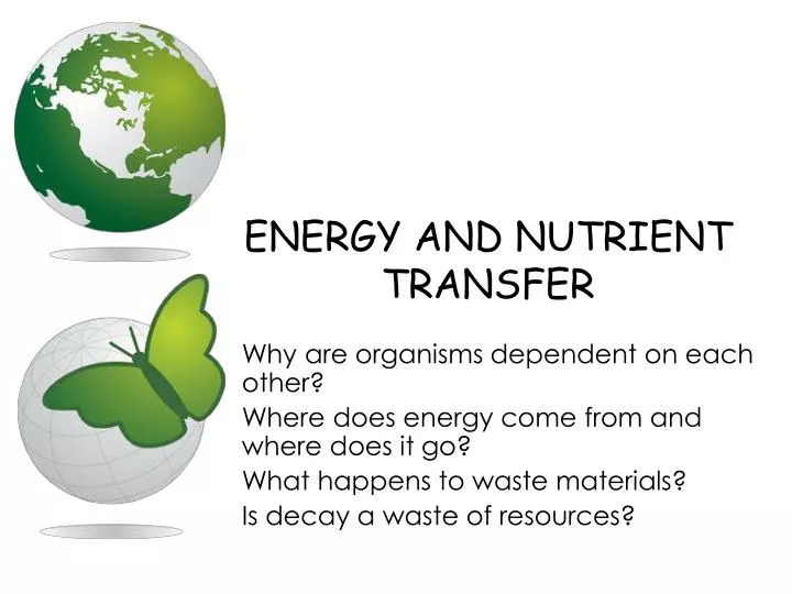 energy and nutrient transfer n.