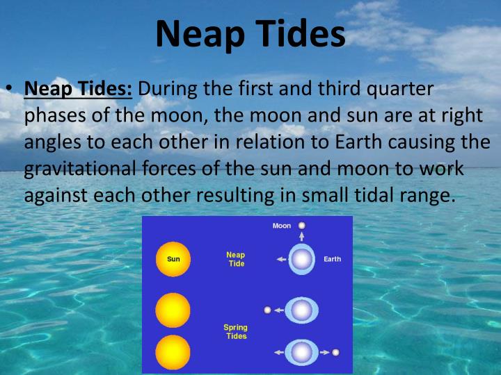 tidal meaning in english