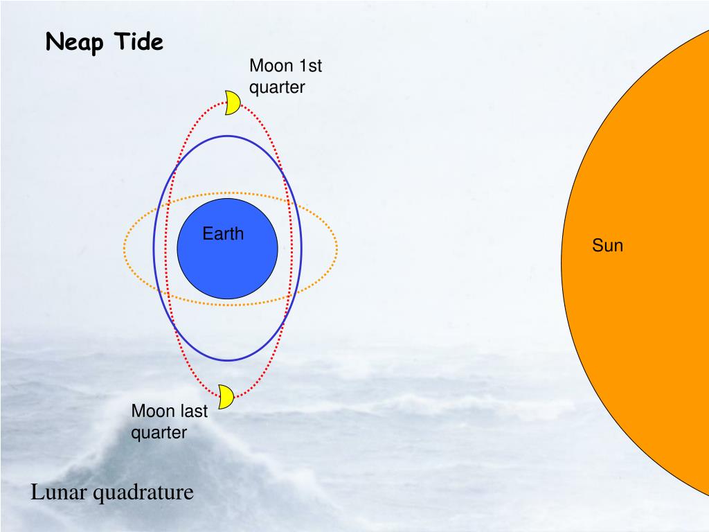 PPT Introduction to the Earth Tides PowerPoint Presentation, free