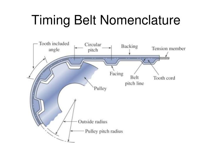PPT Power Transmission Belts, Chains, Clutches, and Brakes