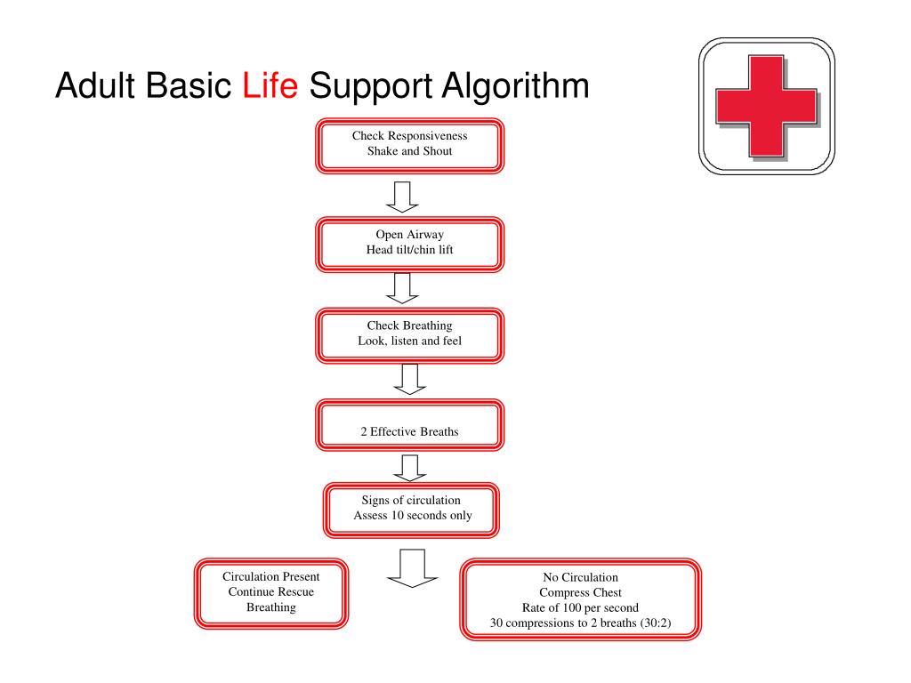 Ppt Basic And Advanced Life Support Powerpoint Presentation Free