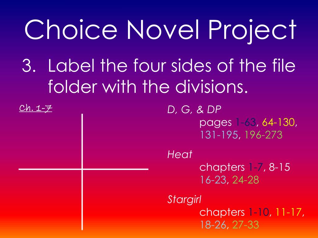 Warmth chapter 2. Project novel. Test 1: summarize Chapter 1. Choice in novels. What is children novel ppt.
