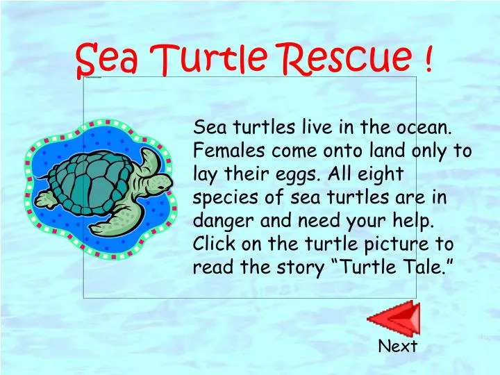 friends turtle rescue
