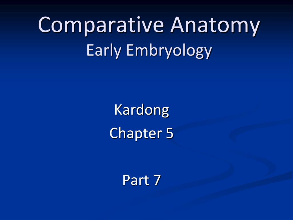 comparative-embryology-worksheet