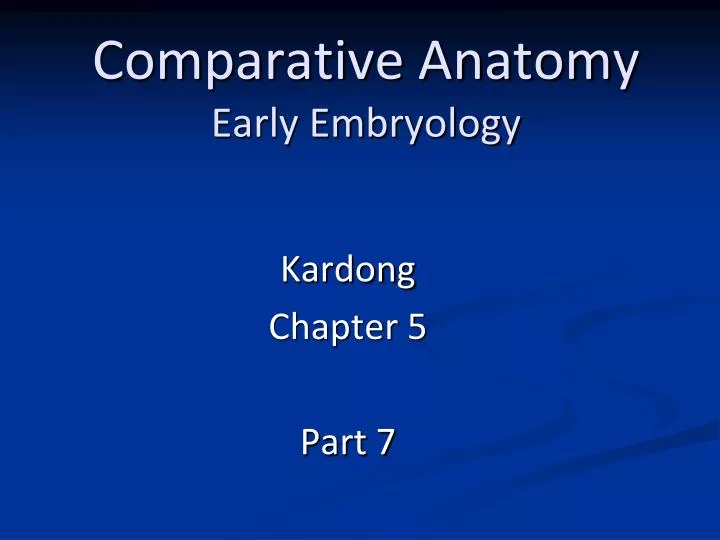 PPT - Comparative Anatomy Early Embryology PowerPoint Presentation