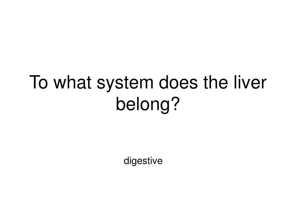 What Organ System Does The Spleen Belong To