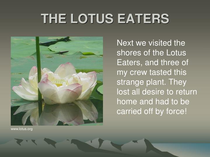 The lotus eaters