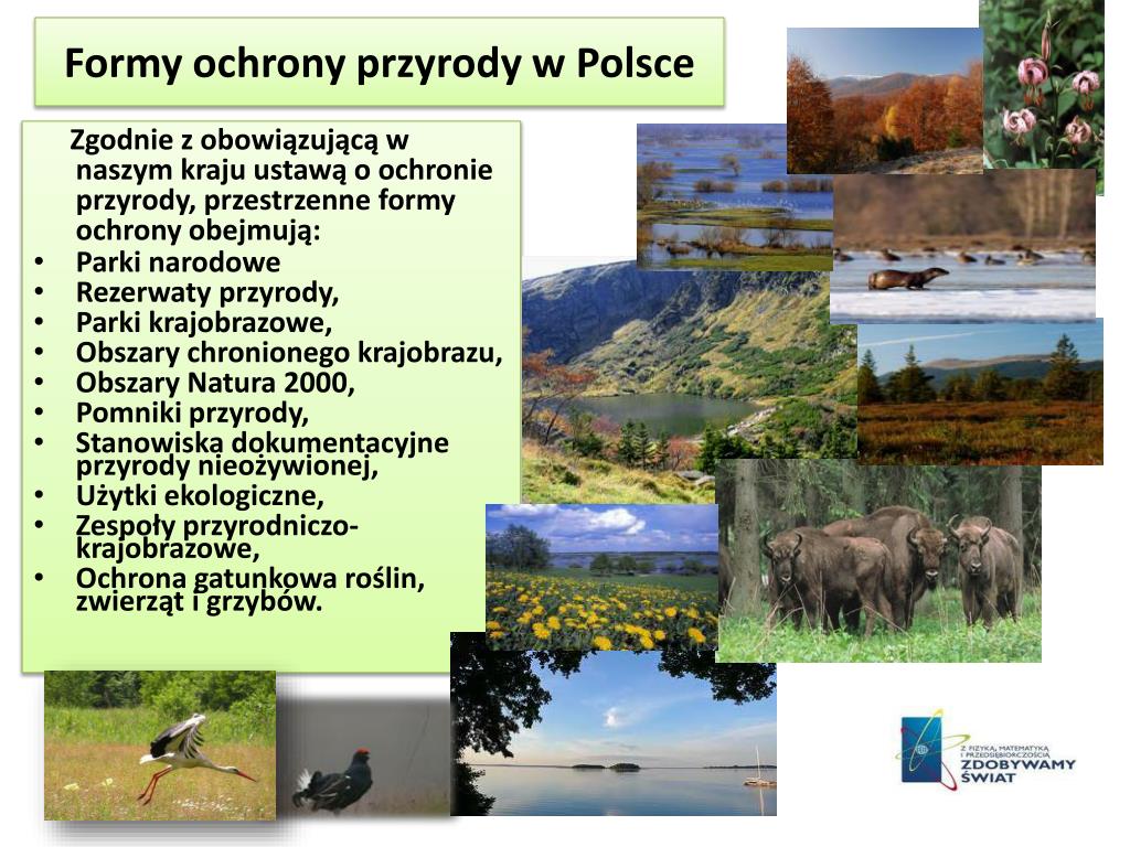 Jedna Z Form Ochrony Przyrody PPT - Dane INFORMACYJNE PowerPoint Presentation, free download - ID:3040005