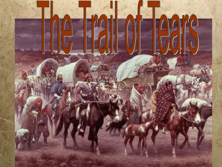 PPT - The Trail of Tears PowerPoint Presentation, free download - ID - Beauty In The Trail Of Tears