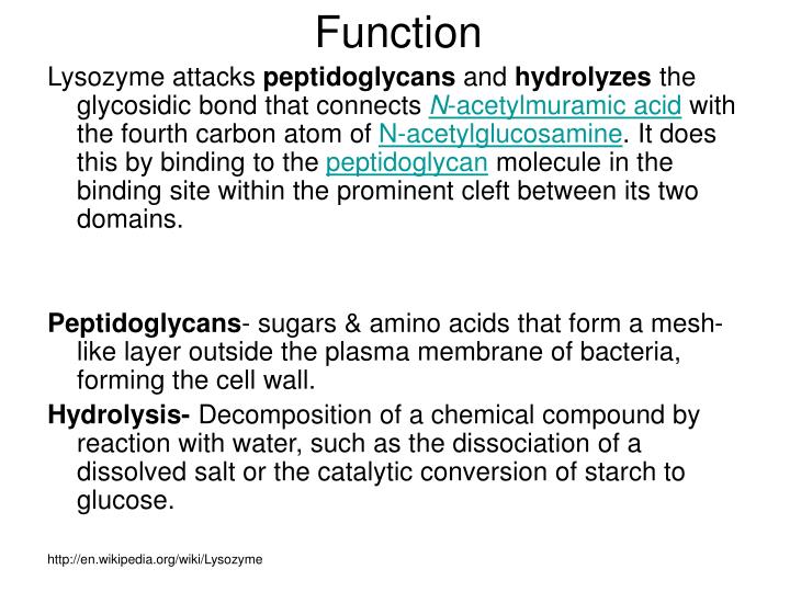 PPT Lysozyme PowerPoint Presentation ID3040518