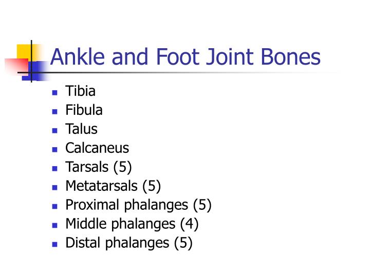 PPT Ankle and Foot Joint PowerPoint Presentation ID3040918