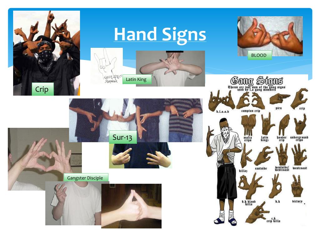 PPT Gangs, Bullying, and Violence PowerPoint Presentation, free