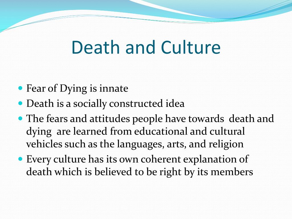 culture of death essay