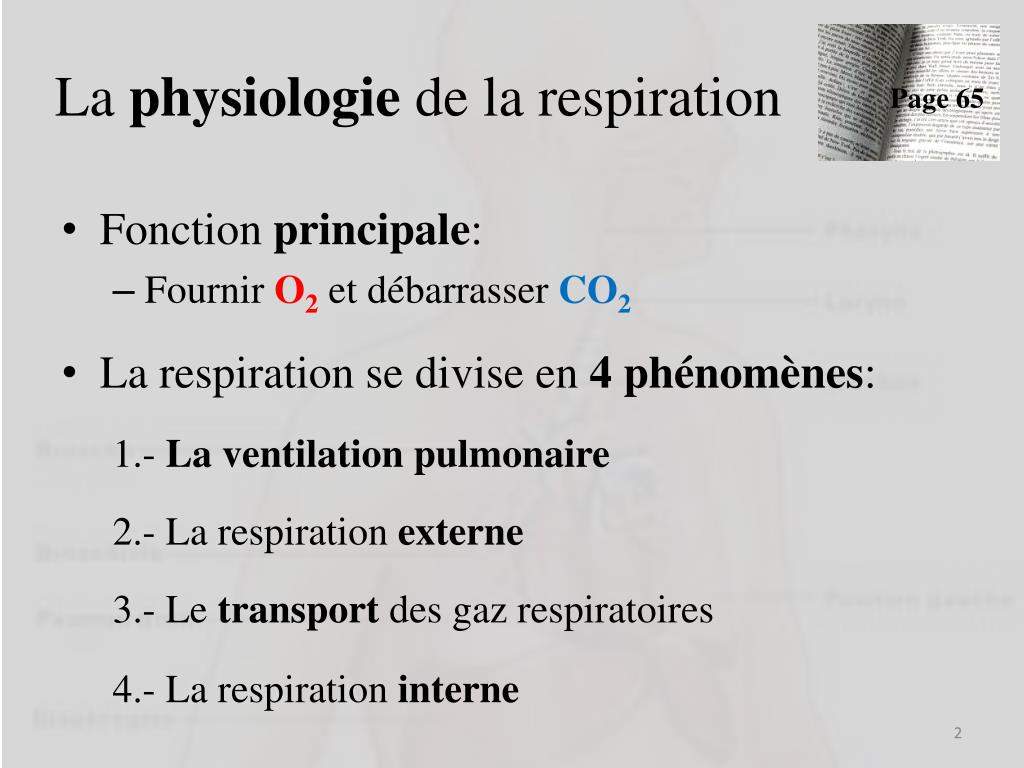 PPT - La physiologie du système respiratoire PowerPoint Presentation, free  download - ID:3043469