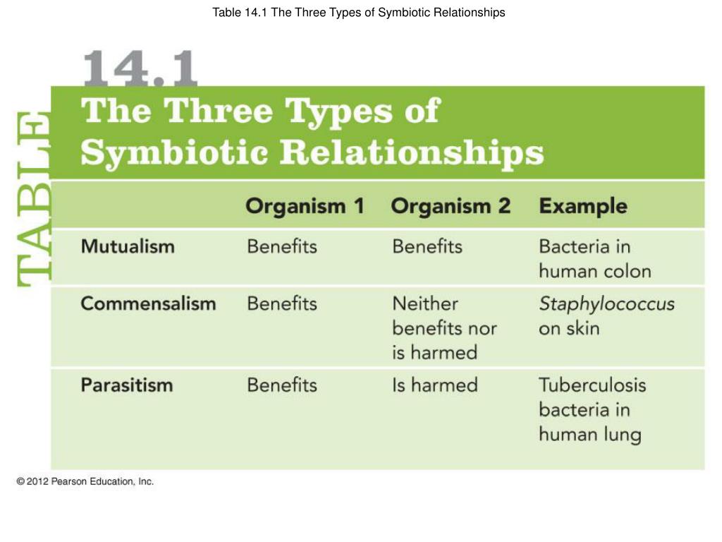 what are the three types of symbiotic relationships