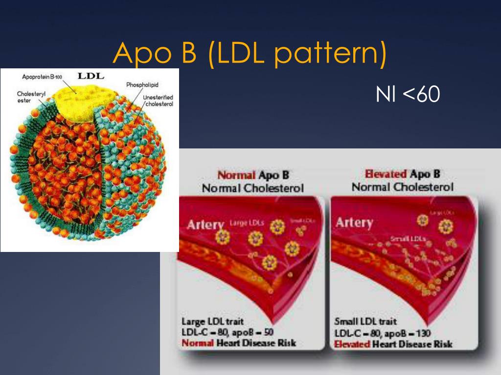 PPT Cholesterol The Expanded Lipid Profile PowerPoint Presentation
