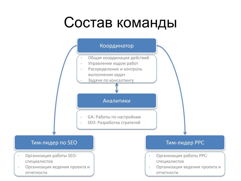 Координатор отдела проектов