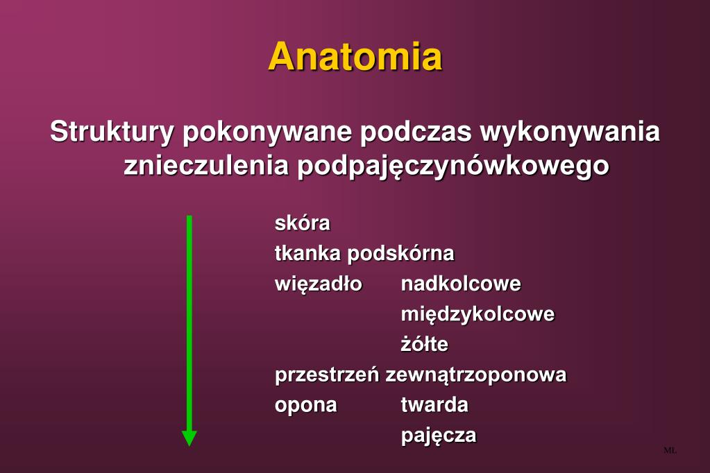 PPT ZNIECZULENIE PODPAJ CZYN WKOWE PowerPoint Presentation Free ppt-znieczulenie-podpaj-czyn-wkowe-powerpoint-presentation-free