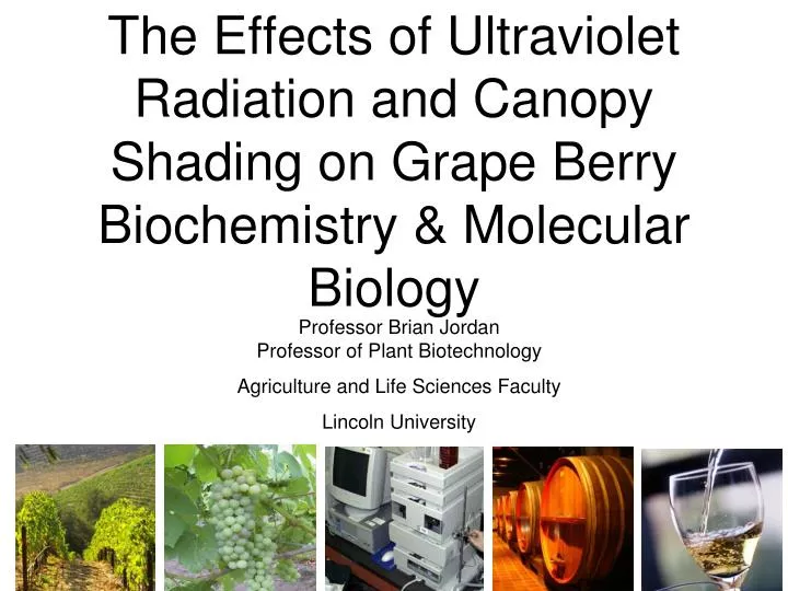 the affect of ultra violet radiation Biological effects of sunlight, ultraviolet radiation, visible light, infrared radiation and vitamin d for health. the affect of ultra violet radiation Biological effects of sunlight, ultraviolet radiation, visible light, infrared radiation and vitamin d for health.