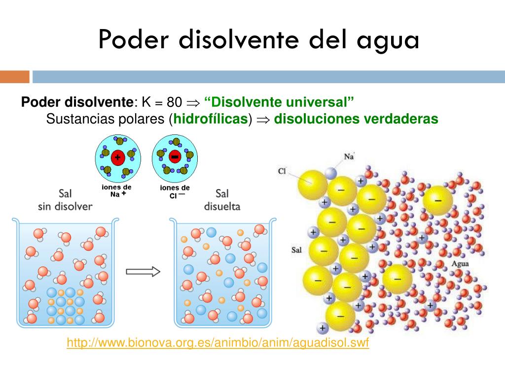 PPT - TEMA 1. Bioelementos. Biomoléculas Inorgánicas PowerPoint  Presentation - ID:3046705