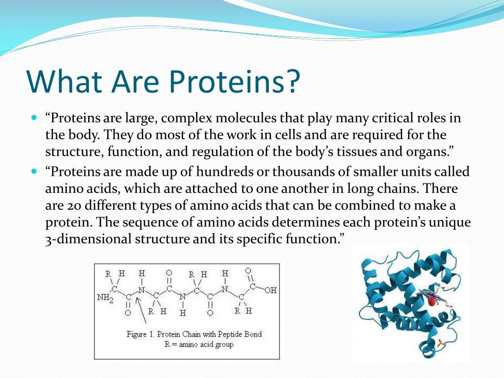 PPT Proteins PowerPoint Presentation Free Download ID 3049299