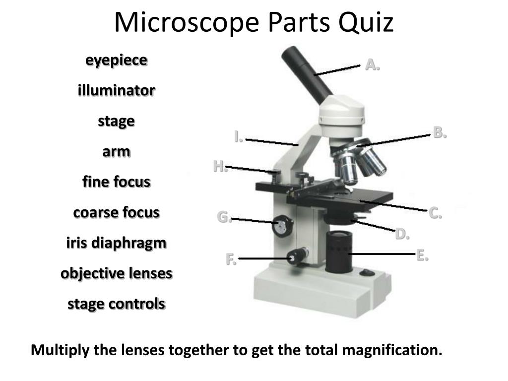 Microscope Parts Quiz Worksheet