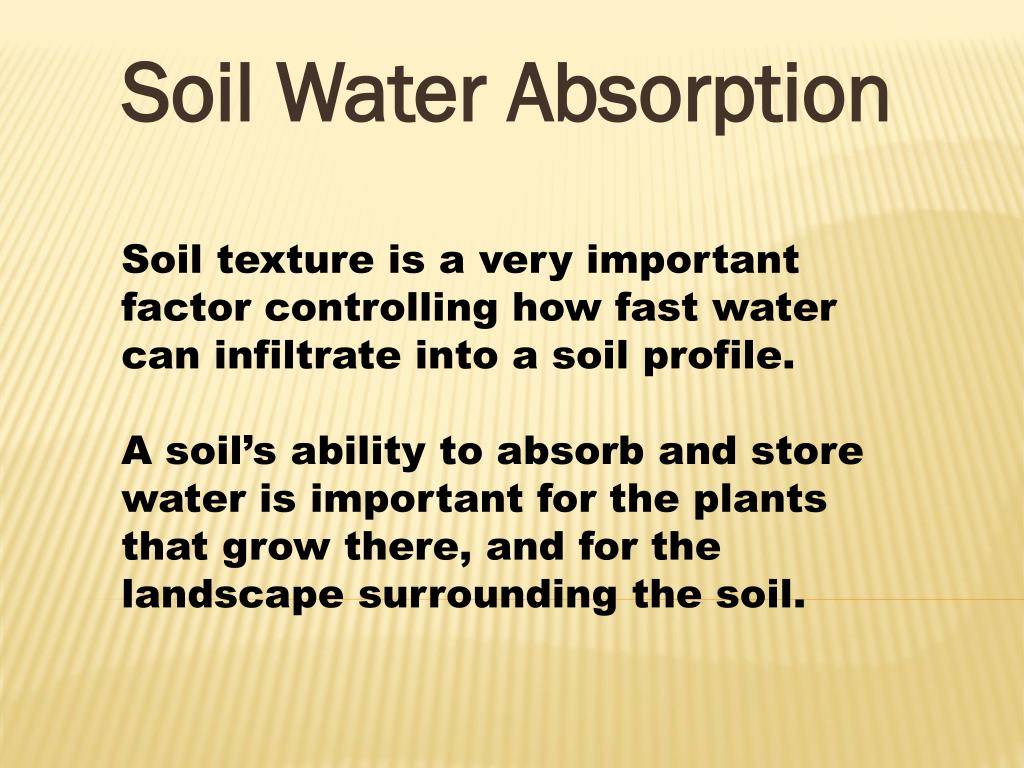 soil won t absorb water soil won t absorb water