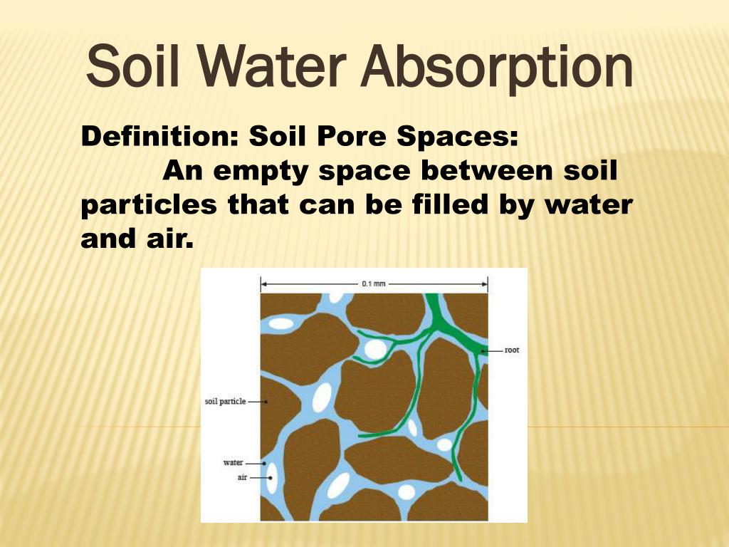 absorption of water by soil